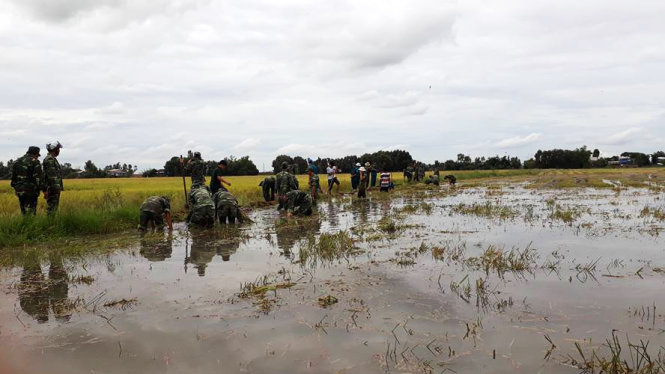 Các chiến sỹ biên phòng giúp dân gia cố đê bao tại huyện Vĩnh Hưng, Long An - Ảnh: AN LONG