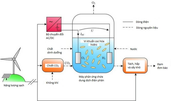 Dây chuyền sản xuất thực phẩm từ điện - Ảnh: Tech Insider