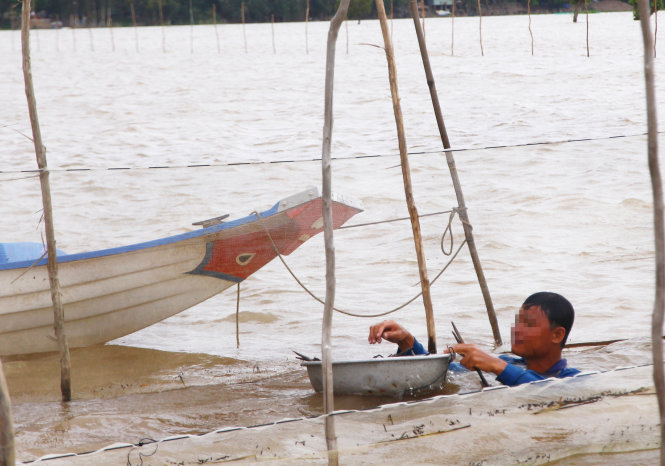 Người dân xã Phú Hội (huyện An Phú, An Giang) đánh bắt cá mùa lũ. Họ chỉ được dùng ngư cụ đánh bắt cá linh non từ tháng 9 trở đi - Ảnh: Chí Quốc