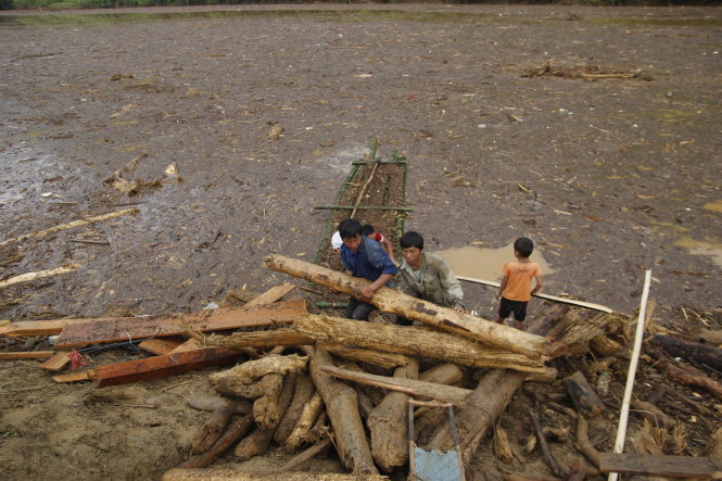 Nhiều khúc gỗ to phải đến 4 -5 người mới có thể kéo lên bờ