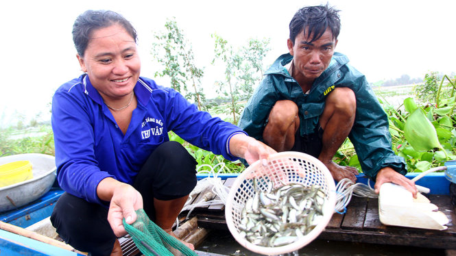 Những con cá, tôm đầu tiên mà người dân vùng lũ huyện An Phú, An Giang thu hoạch được khi mùa lũ về. Ảnh: Chí Quốc