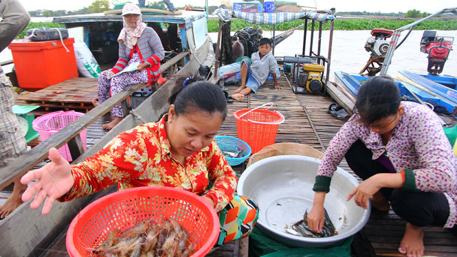 Những con cá, tôm đầu tiên mà người dân vùng lũ huyện An Phú, An Giang thu hoạch được khi mùa lũ về. Ảnh: Chí Quốc
