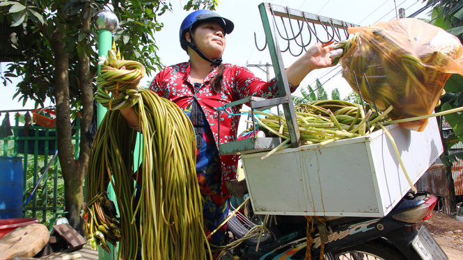 Bông súng đầu mùa lũ cũng xuất hiện nhiều. Chị Trần Thị Nhung (ấp Phú Nghĩa, xã Phú Hội, huyện An Phú, An Giang) mua lại từ người nhổ được rồi bán lại với giá 3.000 đồng/khoanh. Trước khi có lũ về, chị Nhung bán thực phẩm tươi sống, mùa lũ bắt đầu về, chị kinh doanh thêm bông sung. Ảnh: Chí Quốc