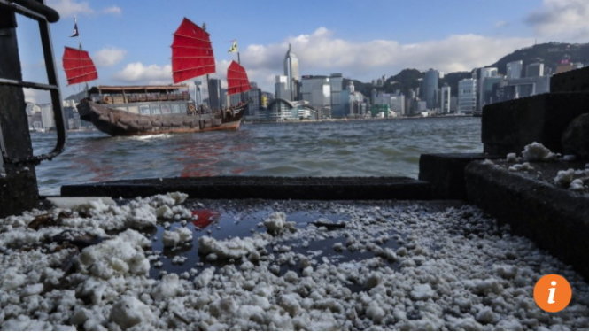 Dầu cọ vón cục làm ô nhiễm các bãi tắm ở Hong Kong - Ảnh: AFP