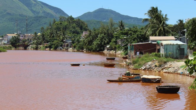 Nước sông đổi màu vàng đục ngầu - Ảnh: ĐOÀN NHẠN