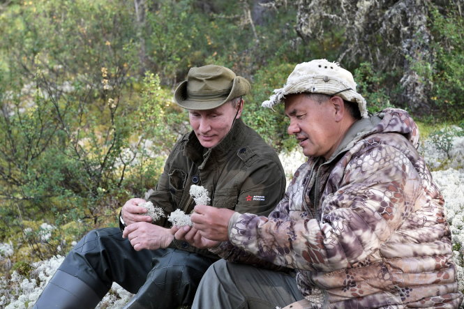 Tổng thống Putin (trái) cùng bộ trưởng Quốc phòng Sergei Shoigu tìm hiểu về rêu trắng trong chuyến thám hiểm trong rừng - Ảnh: REUTERS 