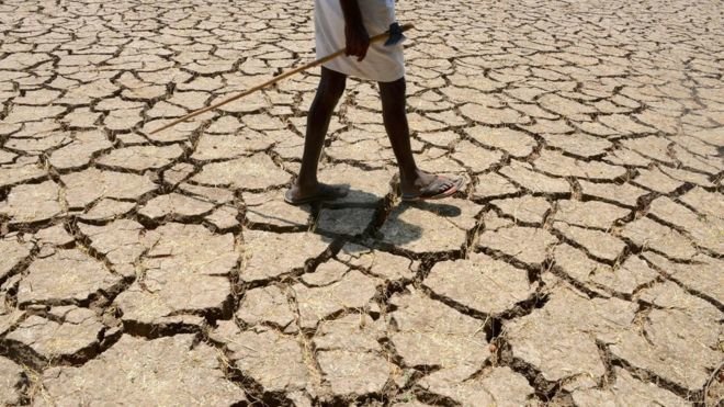 Sự ấm lên toàn cầu trong dài hạn gây ảnh hưởng nặng nề cho nông dân - Ảnh: AFP