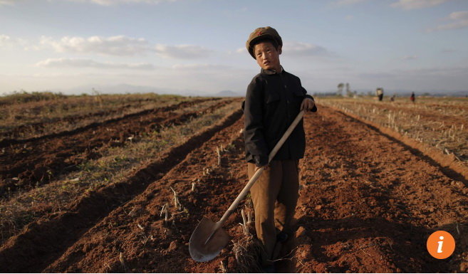 Nông dân Triều Tiên làm việc trên đồng - Ảnh: AFP