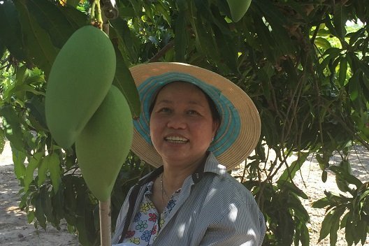 Chị Vui Nguyen - vợ ông Frank Nguyen, bên vườn xoài của trang trại gia đình tại Darwin - Ảnh: ABC