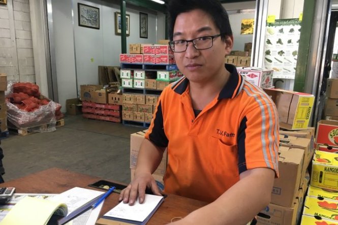 Anh Vinh Nguyen, con trai của ông Frank, đứng bán hàng cho gian hàng của cha ở khu chợ Sydney Markets - Ảnh: ABC