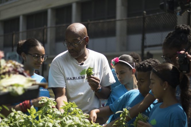 Ông Tony Hillery cùng các bạn học sinh tìm hiểu về rau trồng - Ảnh: Twitter của Tổ chức Harlem Grown
