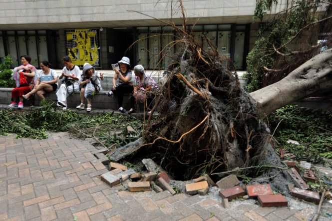 Khách du lịch Trung Quốc ngồi cảnh một gốc cây bị bật rễ sau bão Hato - Ảnh: Reuters