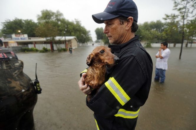 Anh Marcelo DeLeon, một tình nguyện viên đang ôm giúp chú chó của một gia đình khi những người khác cứu chủ nhà khỏi nước lũ ở Pearland, Texas - Ảnh: DALLAS NEWS