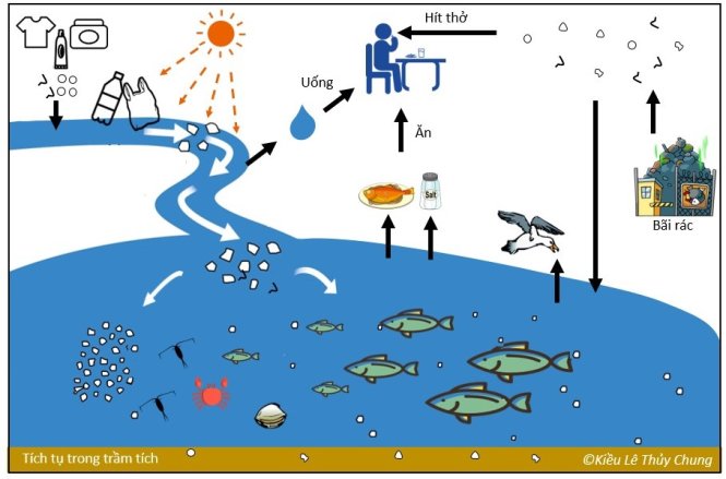 Từ rác nhựa đến vi hạt nhựa. Ảnh: Kiều Lê Thủy Chung