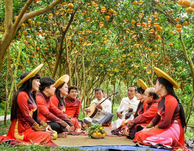 Đờn ca tài tử là một đặc sản văn hóa ở ĐBSCL và quýt hồng cũng là một đặc sản của khu vực này dịp Tết. Trong ảnh: biểu diễn đờn ca tài tử trong vườn quýt hồng Lai Vung. Ảnh: Hiếu Minh Vũ