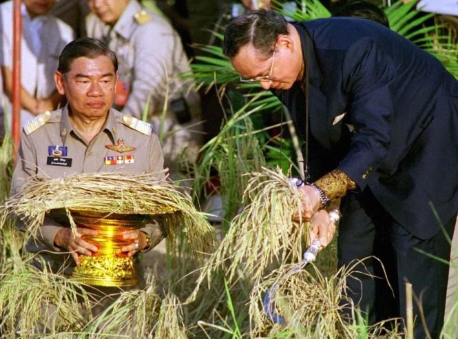 Thái Lan và  một quốc sách đáng nể cho chuỗi giá trị lúa gạo 
