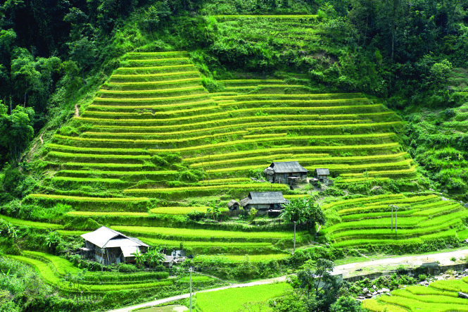 Trước khi gọi nhau lên Tây Bắc, hãy hiểu những người điêu khắc núi...