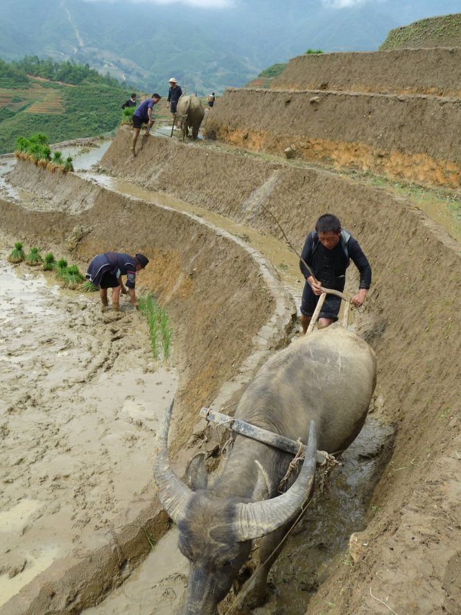 Trước khi gọi nhau lên Tây Bắc, hãy hiểu những người điêu khắc núi...