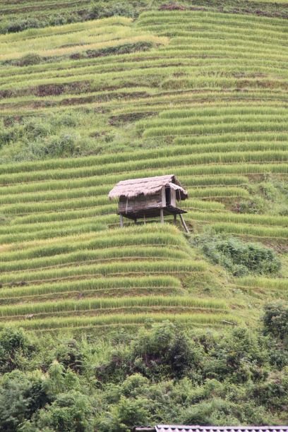 Trước khi gọi nhau lên Tây Bắc, hãy hiểu những người điêu khắc núi...