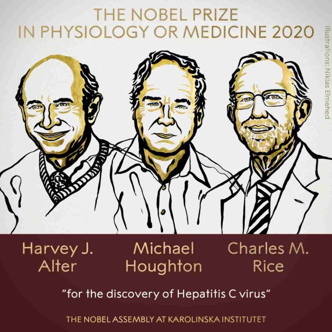 Giải Nobel Y học 2020: Bệnh viêm gan và khoa học triển khai