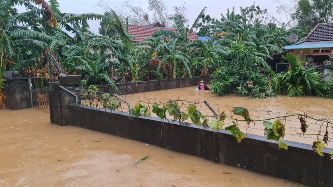 Cứu trợ, pháp lý và minh bạch