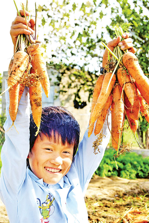 Trúng mùa: một cậu bé ở Bảo Lộc, Lâm Đồng vui mừng vì trúng mùa cà rốt - Ảnh: Ngọc Hải
