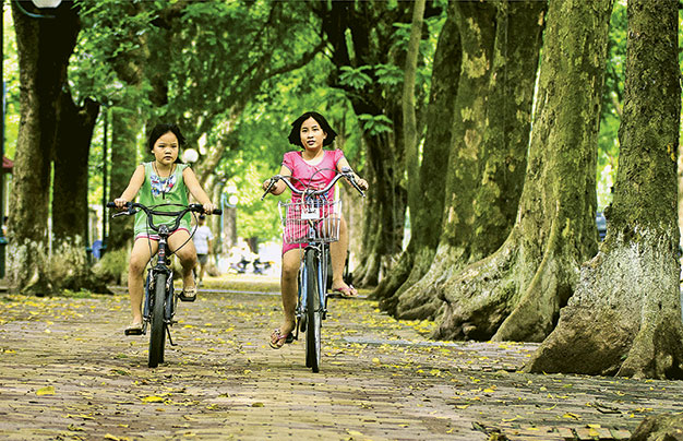 Màu xanh dọc đường Phan Đình Phùng - Hà Nội: Hà Nội cổ kính với những con đường, những hàng cây cổ thụ xanh ngát quanh năm. Đầu thu Hà Nội dường như đẹp hơn trên các con đường lá rụng - Ảnh: taibao