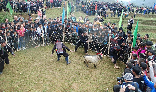 Bịt mắt bắt dê. Đây là trò chơi cổ truyền không thể thiếu trong lễ hội xuân Gầu Tào 2013 của người dân tộc Mông ở xã San Sả Hồ, huyện Sa Pa, tỉnh Lào Cai. Phạm Ngọc Triển