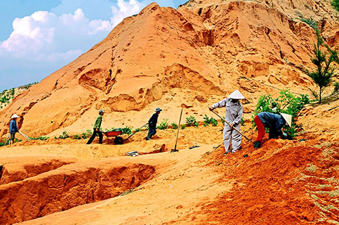 Bức ngăn xanh - Tác giả: Phạm Xuân Luynh