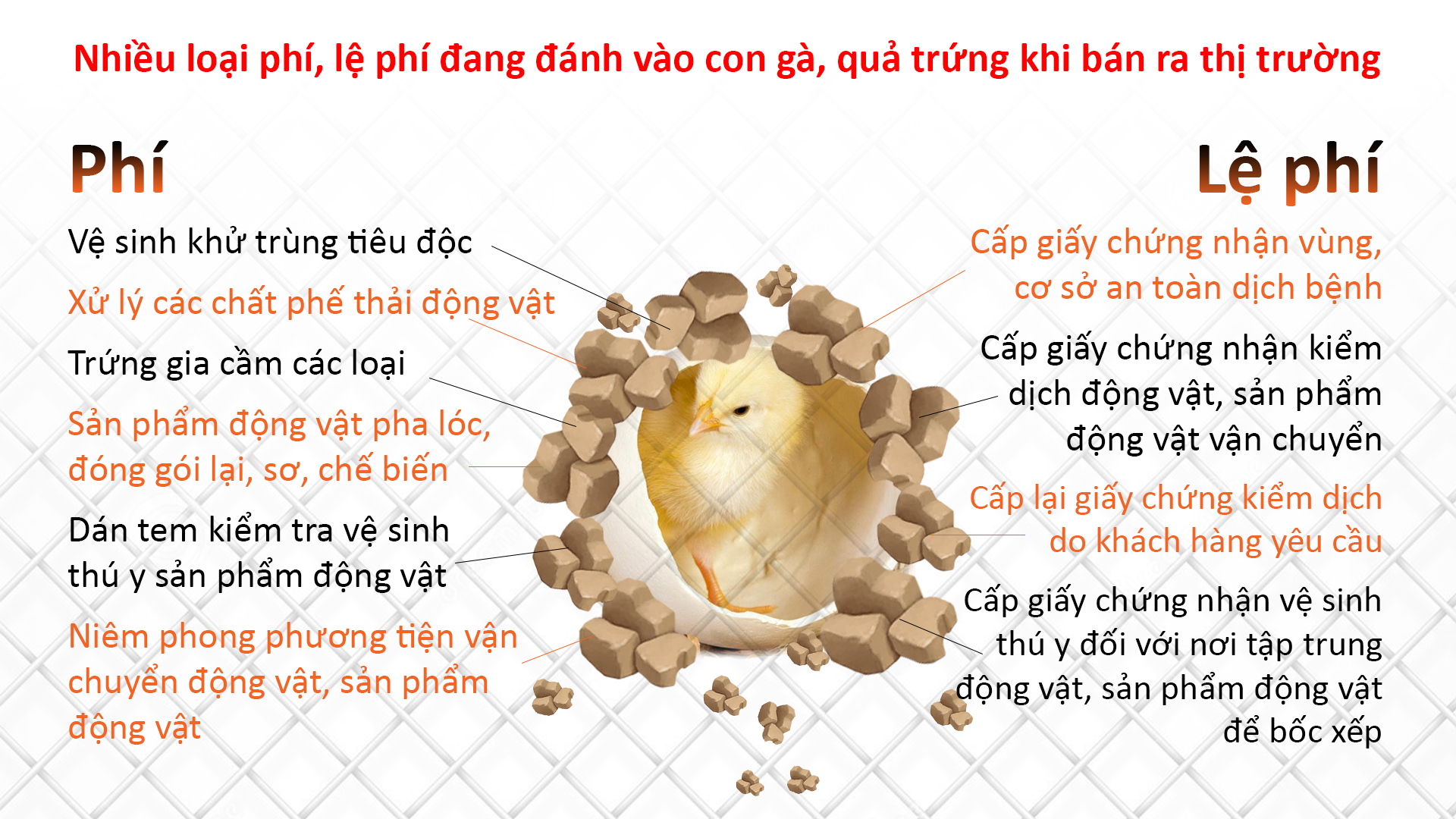 Đồ họa: Việt Anh