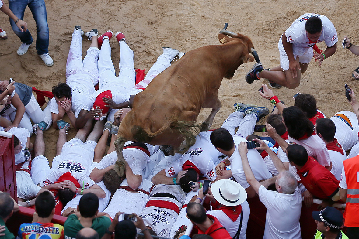 Một con bò giẫm đạp lên đám đông - Ảnh: Getty Images