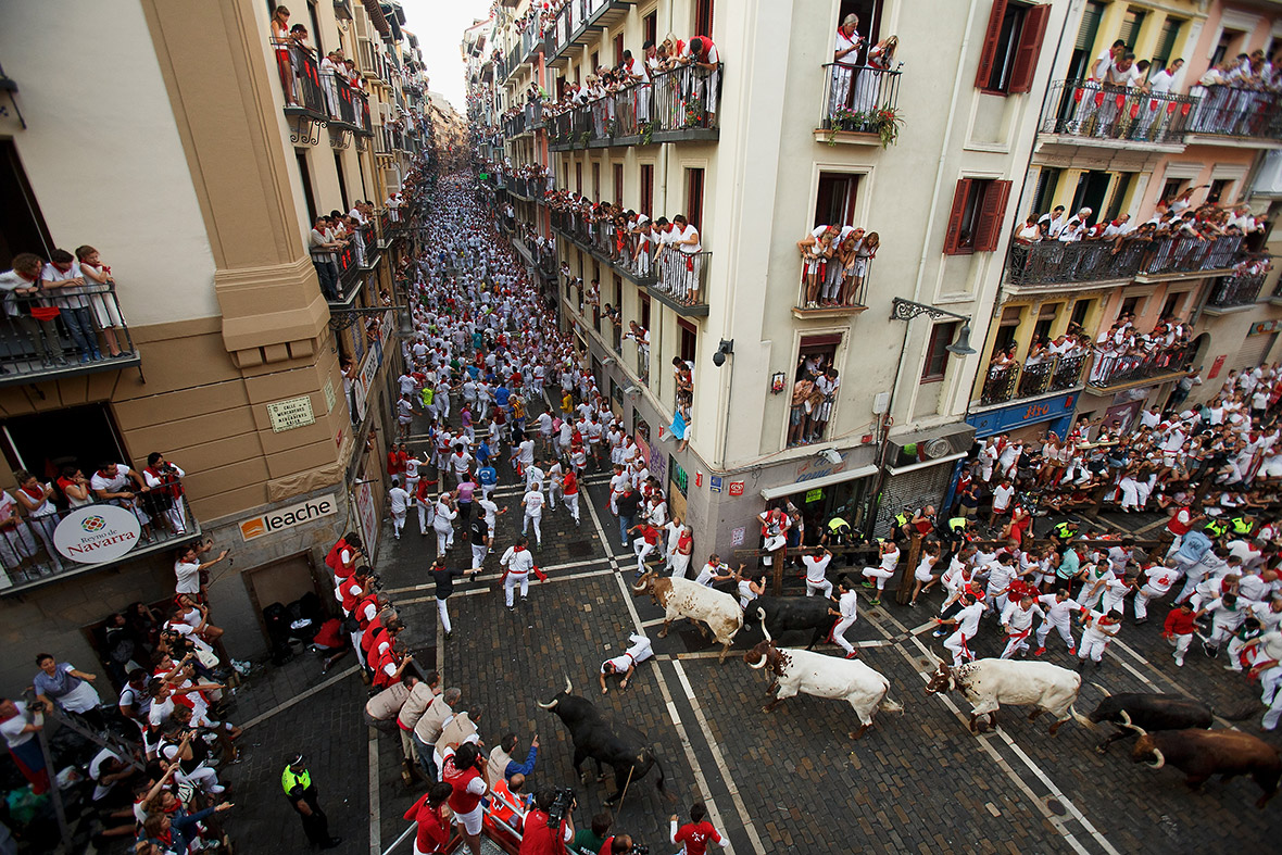 Các chú bò rượt húc người - Ảnh: Getty Images