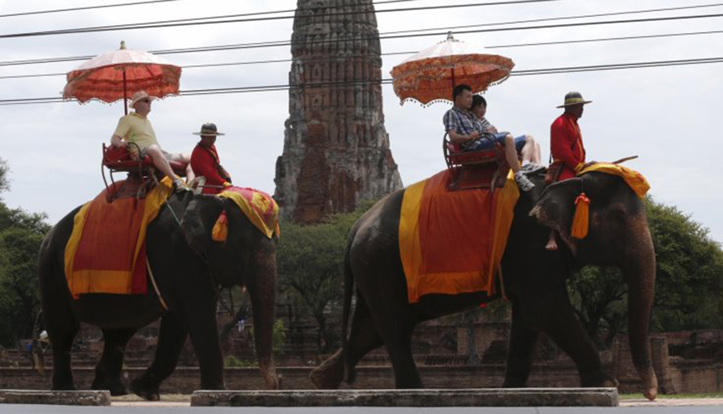 Ảnh minh họa voi chở khách du lịch tại Thái Lan - Ảnh: Times