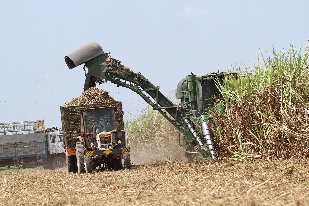 Máy thu hoạch mía công nghệ cao trên cánh đồng mía của Tập đoàn Thành Thành Công - Ảnh: VĂN MINH