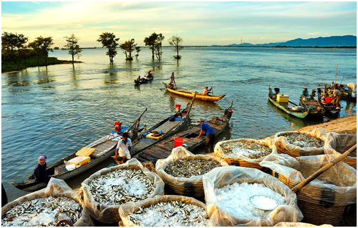 Tác phẩm: Chợ cá - Tác giả: Huỳnh Phúc Hậu. Địa điểm: Chợ cá cầu Tha La, huyện Tịnh Biên, tỉnh An Giang