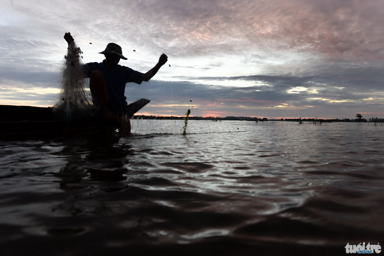 Người dân giăng lưới đánh bắt cá linh tại một cánh đồng mênh mông biển nước ở huyện Tịnh Biên, tỉnh An Giang - Ảnh: Hữu Khoa