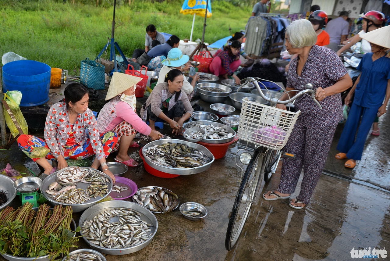 Các loại cá đồng bắt được trong mùa lũ được bày bán tại một dãy chở ở huyện Hồng Ngự, tỉnh Đồng Tháp - Ảnh: Hữu Khoa