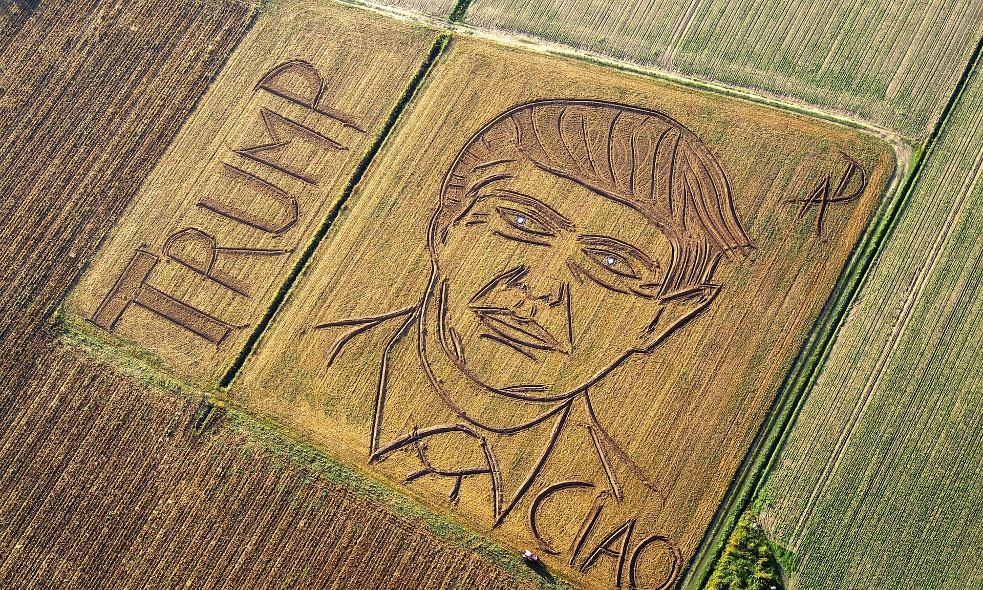 Nghệ sĩ người Ý Dario Gambarin dùng máy cày vẽ nên bức chân dung của ông Trump trên cánh đồng gần thành phố Verona - ảnh: AP