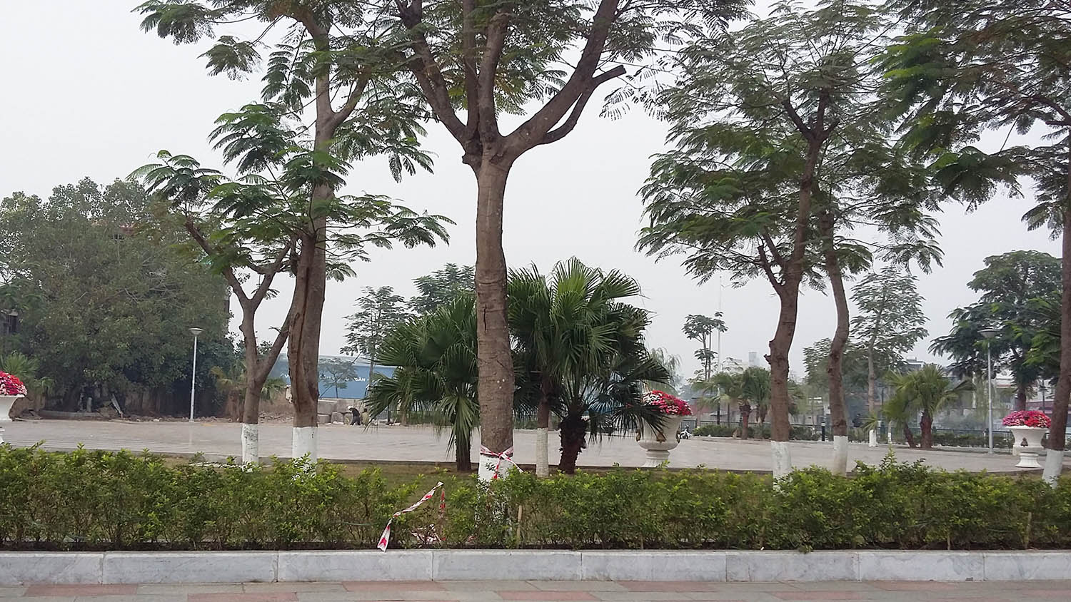 Khuôn viên Công viên cây xanh Tam Bạc, nơi hai cây Long Não lâu năm bị người dân chặt hạ sau khi được chủ tịch UBND phường cho phép - Ảnh: Tiến Thắng