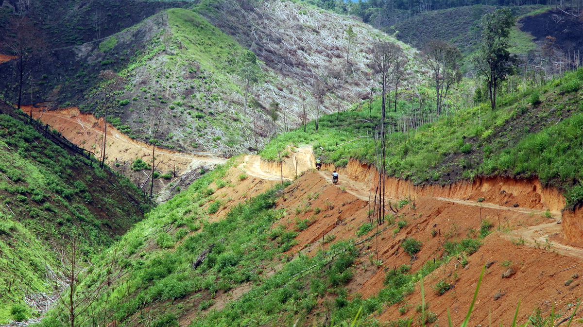 Những cánh rừng bị chặt trơ trụi để phục vụ dự án trồng rừng của Công ty Khải Vy tại xã Quảng Sơn. Ảnh: B.D