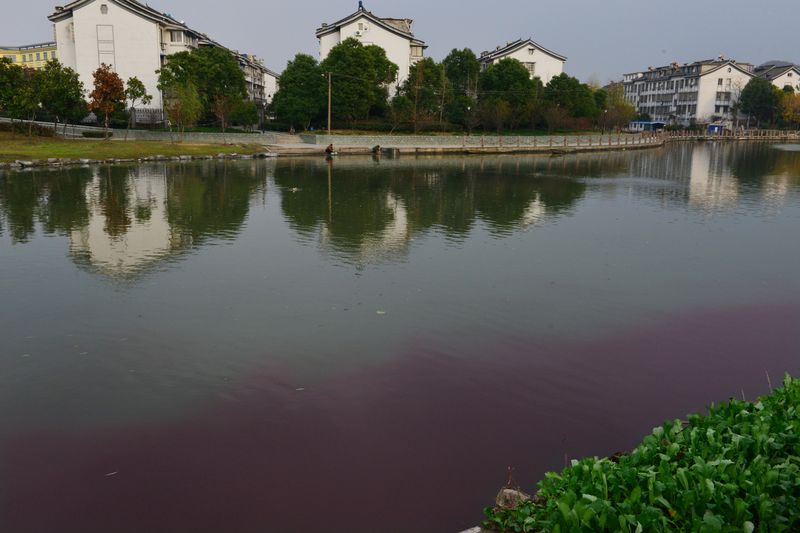 Một con sông bị ô nhiễm ở thành phố Thiệu Hưng, tỉnh Chiết Giang năm 2013 - ảnh: ImagineChina